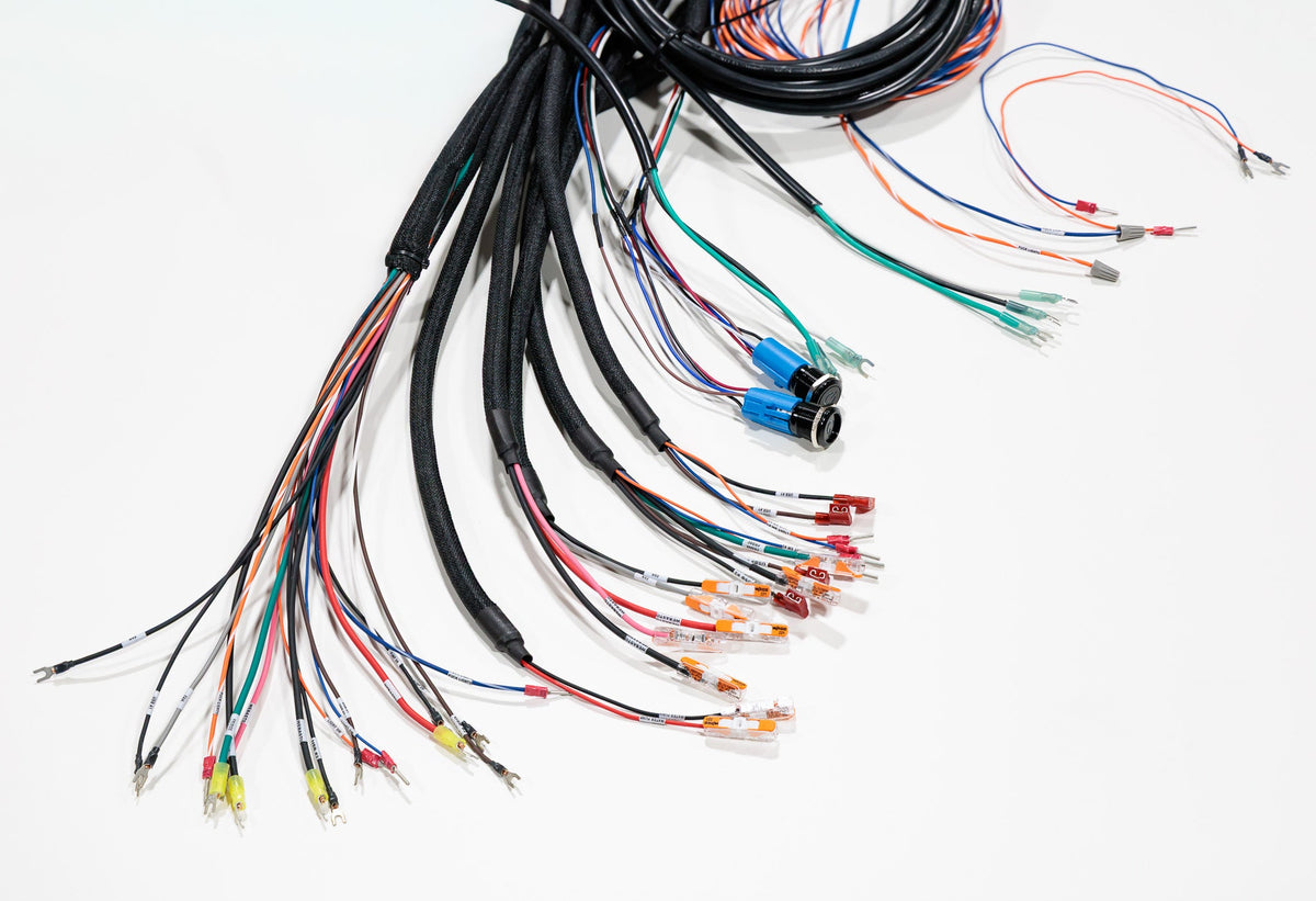Camper van wiring harness manufactured in the USA
