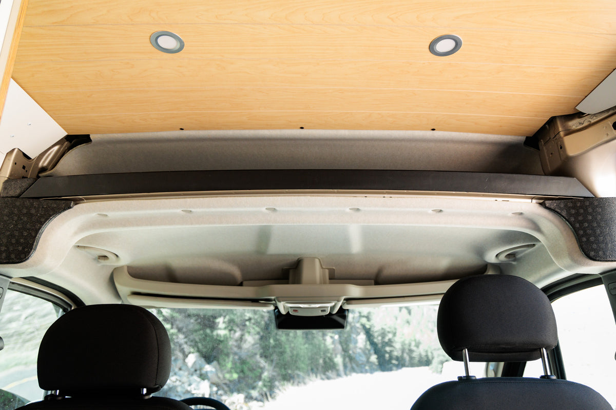 2025 ProMaster Timber Camp Van